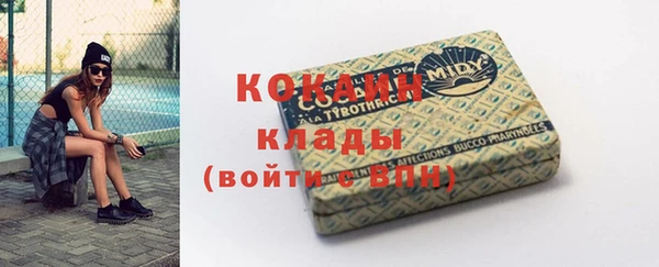 соль ск Белокуриха
