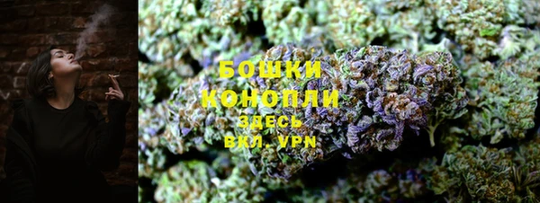 ГАЛЛЮЦИНОГЕННЫЕ ГРИБЫ Балахна