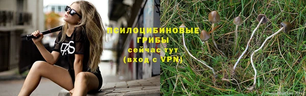 стафф Балабаново